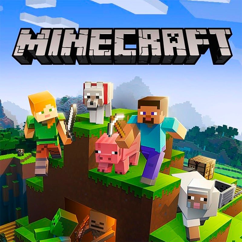 Minecraft Network
